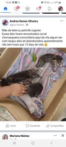 Animais - SOS RAÇÃO 