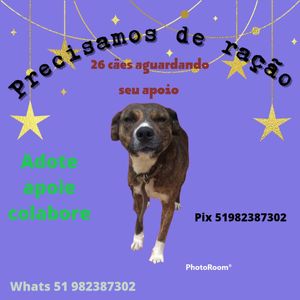 SosviralatasbyAndrea  - SOS RAÇÃO 