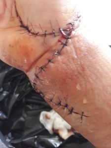 Vaquinha Online - Campanha Sólidaria