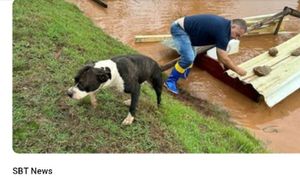 Animais - SOS PET - RIO GRANDE DO SUL