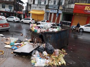 CÃES DE RUA : CUIDAR, ALIMENTAR E ADOÇÃO RESPONSÁVEL imagem 8