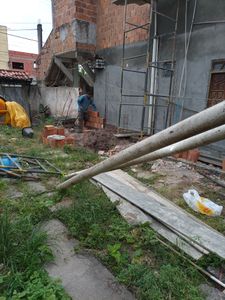 Animais - CÃES DE RUA : CUIDAR, ALIMENTAR E ADOÇÃO RESPONSÁVEL