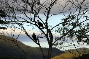 Rio de Janeiro/RJ - MANTIQUEIRA, ENTRE O CÉU E A TERRA (Visconde de Mauá, Itatiaia, Resende  e Bocaina de Minas)