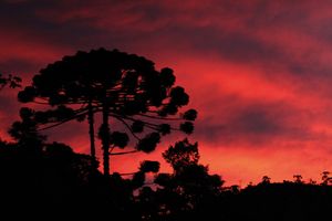 MANTIQUEIRA, ENTRE O CÉU E A TERRA (Visconde de Mauá, Itatiaia, Resende  e Bocaina de Minas) imagem 6
