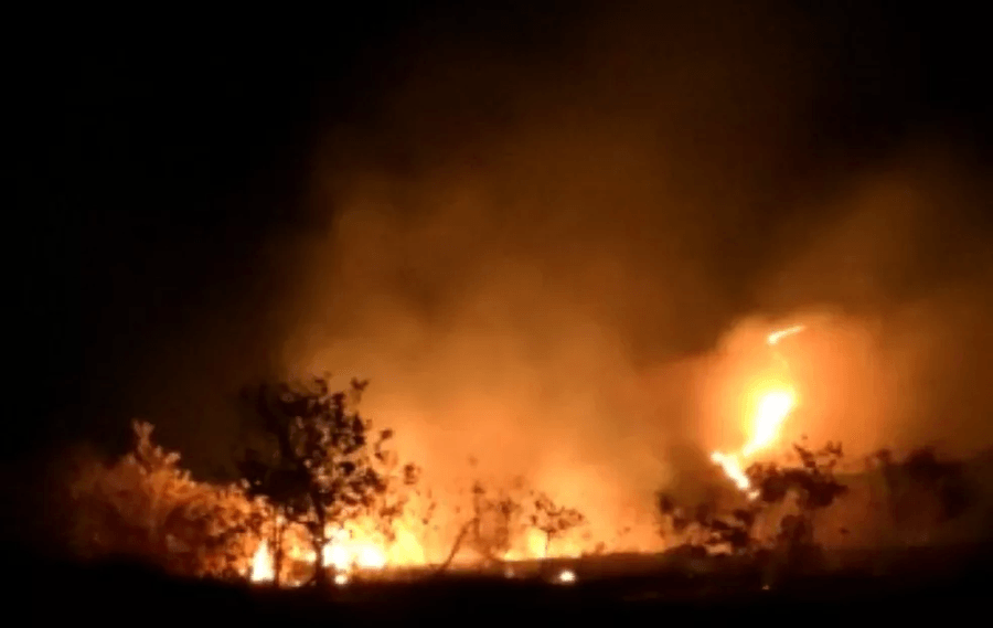 Vaquinha Online -  Ajude a Reflorestar 10 hectares do Cerrado, na Zona da Mata, Serra da Mantiqueira, consumidos pelo fogo