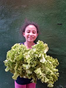 São Paulo/SP - Geladeira para nossa associação