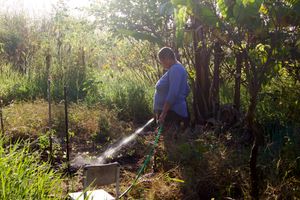 Campinas/SP - Cesão faz 60! 