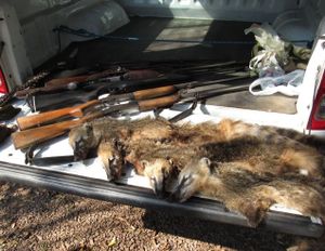 Fauna News - FAUNA NEWS: precisamos da sua ajuda para não fechar em 2025