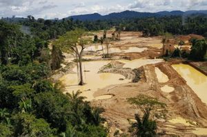 Guarujá/SP - FAUNA NEWS: precisamos da sua ajuda para não fechar em 2025