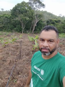 Vera Cruz/BA - Plantio Sustentável de Cacau e Banana: Preservando a Mata Atlântica e Transformando Vidas