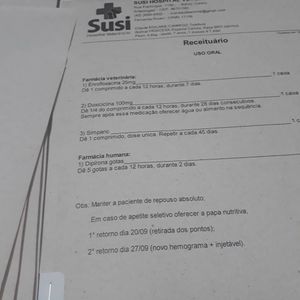 Mary - Vaquinha para custear tratamento da princesa