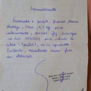 Vaquinha para custear tratamento da princesa imagem 7