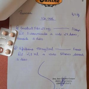 Vaquinha para custear tratamento da princesa imagem 6