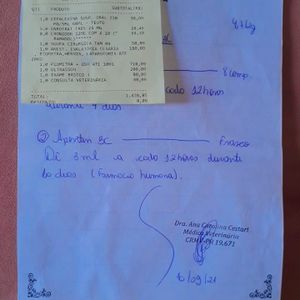 Arapongas/PR - Vaquinha para custear tratamento da princesa