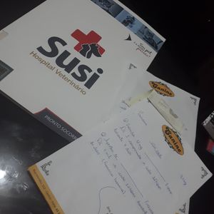 Vaquinha Online - Vaquinha para custear tratamento da princesa