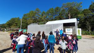 Um Borboletário para Teresópolis! imagem 6