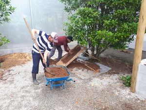 Um Borboletário para Teresópolis! imagem 8