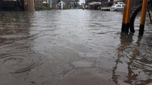 Empreendedorismo e Pequenos Negócios - Preciso de ajuda para levantar meu negócio, ajude me