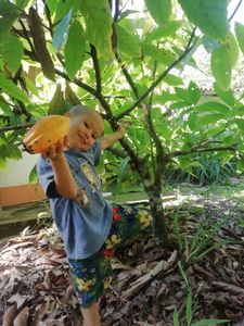 Antonella - Ajude a Maluki E Antonella para Voltar a Casa