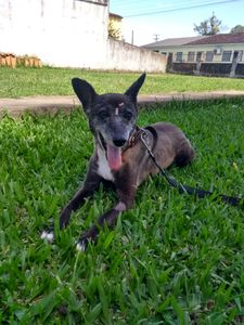 Ajuda para pagar os custos da cirurgia que a Suria fez  imagem 7