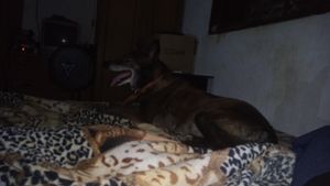 Ajuda para pagar os custos da cirurgia que a Suria fez  imagem 9