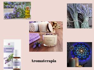 Patrícia da Costa - Capital de Giro para Graça de Dormir