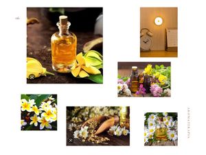 São Paulo/SP - Capital de Giro para Graça de Dormir