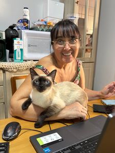 Vaquinha Online - Me ajude a  construir o gatil da minha mãe 
