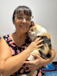 Vaquinha para terminar os gatis da minha mãe  - Me ajude a  construir o gatil da minha mãe 