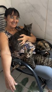 Me ajude a  construir o gatil da minha mãe 