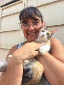 Aparecida de Goiânia/GO - Me ajude a  construir o gatil da minha mãe 