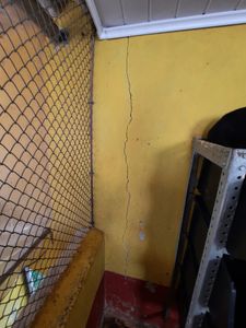 URGENTE: Salve os gatinhos do Abrigo Chácara da Dolores imagem 7