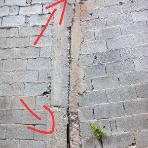 URGENTE: Salve os gatinhos do Abrigo Chácara da Dolores imagem 8