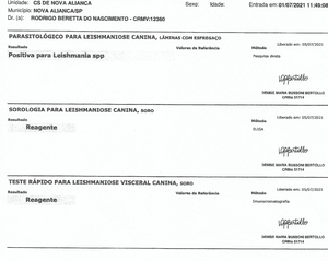 Ajude a salvar o Totó Grandão! imagem 8