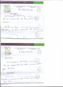 Ajude a salvar o Totó Grandão! imagem 9