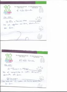 null - Ajude a salvar o Totó Grandão!