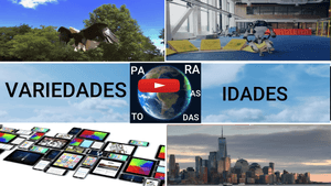 Financiamento Coletivo - variedades para todas as idades