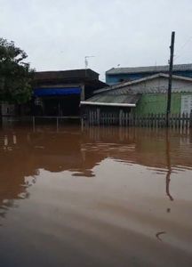 Campanha Solidária - Família Scalabrin imagem 6