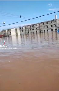 Campanha Solidária - Família Scalabrin