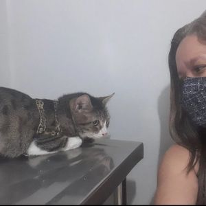 Crowdfunding - Nossa Turminha precisa de ração para 🐱 gatos 