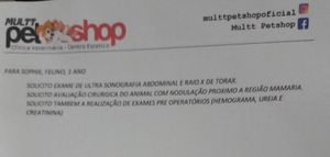 Vaquinha Online - Ajude a gatinha sophie contra o câncer de mama!