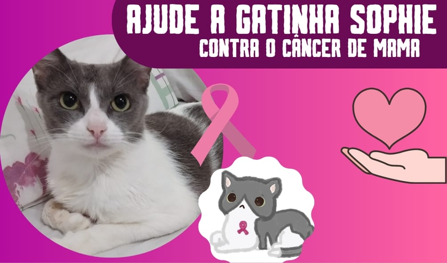 Ajude a gatinha sophie contra o câncer de mama!