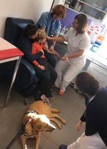 Elizabeth Deschauer - Livro infantil para promover a inclusão. Inspirado em factos reais.