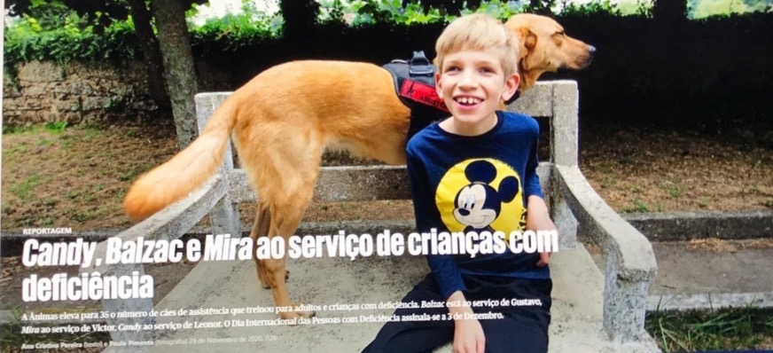 São Paulo/SP - Livro infantil para promover a inclusão. Inspirado em factos reais.