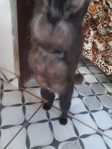 Vaquinha Online - Preciso da sua ajuda