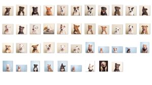 SOS |  A UNIÃO FAZ A FORÇA.