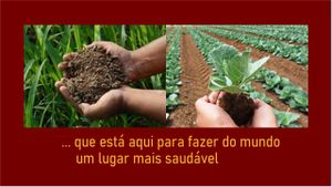 Empreendedorismo e Pequenos Negócios - #TUDO ORGÂNICO NA CAIXA OU NA CAIXINHA 