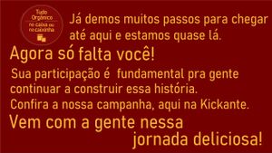 #TUDO ORGÂNICO NA CAIXA OU NA CAIXINHA  imagem 10