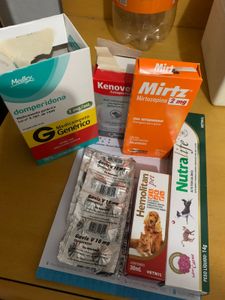 Animais - Tratamento do Kenai