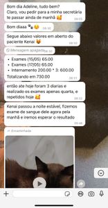 Curitiba/PR - Tratamento do Kenai